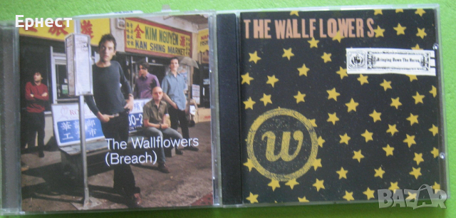 The Wallflowers (Breach) CD Jakob Dylan син на Bob Dylan, снимка 4 - CD дискове - 31745463