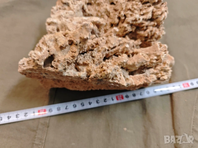 стар корал, снимка 11 - Други ценни предмети - 53748378