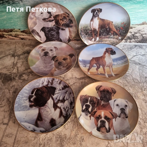 Чинии за стена , снимка 5 - Декорация за дома - 53054437