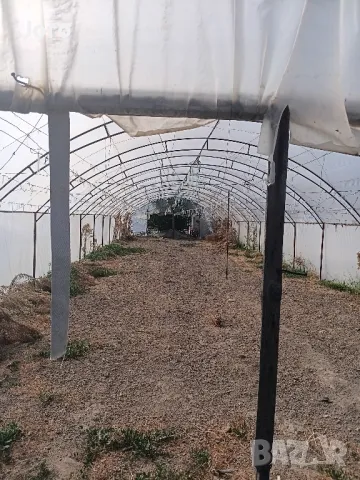 Ферми-оранжерии два размера, снимка 3 - Оранжерии - 49968385