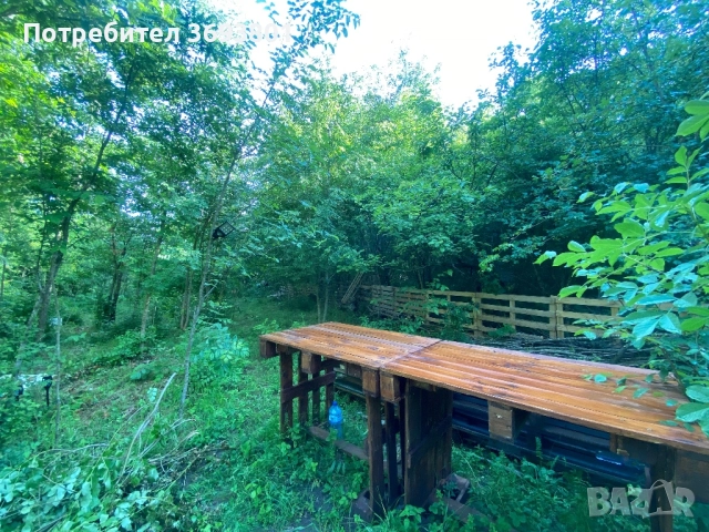 5 декара Парцел   С Трюфелна ферма, снимка 9 - Вили - 51957630