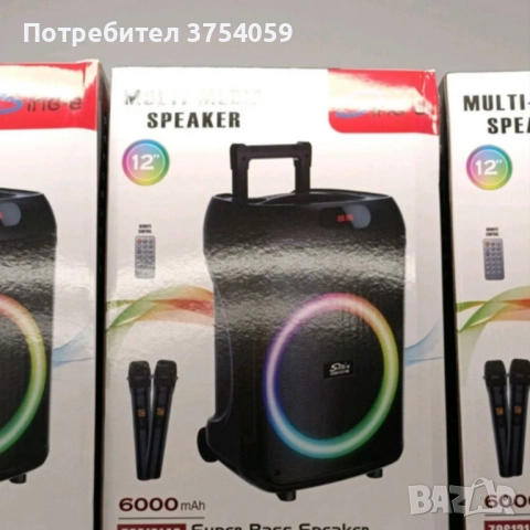 Преносима караоке тонколона Sing-e ZQS12148 (12") с мощен бас, снимка 5 - Тонколони - 52261722