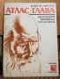 АТЛАС / ГЛАВА . Анатомия, мимика, пластика - Христо Кирчев, снимка 1