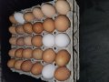 Домашни яйца , снимка 3