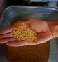 продавам просо 1€ кг, снимка 2