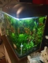 Аквариум комплект , снимка 3