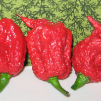 Carolina Reaper - Вземи си от НАЙ-лютите чушки в света, снимка 1 - Други - 44664639