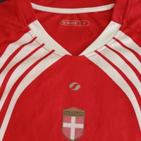 Две футболни тениски  тениска Дания, Denmark, снимка 9 - Фен артикули - 33729060