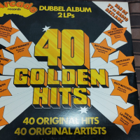 40 Golden Hits, снимка 6 - Грамофонни плочи - 36342634