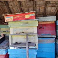 Пчелни кошери, ДБ-12 рамкови, в комплект с по 1 магазин, снимка 7 - За пчели - 42385144