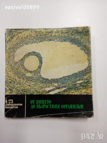 Моско Москов - От яйцето до възрастния организъм , снимка 1