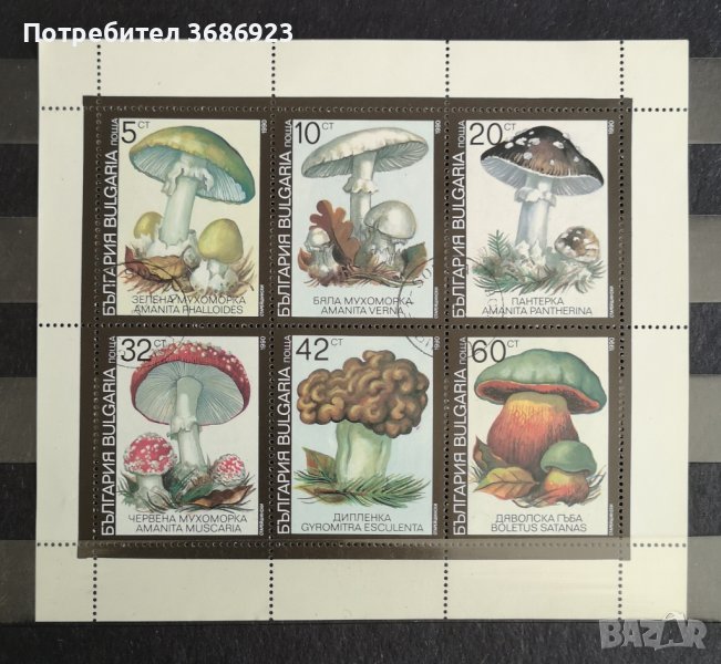 1991 (19 март). Отровни гъби., снимка 1