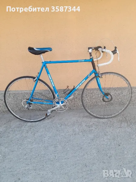 шосеен бегач, снимка 1