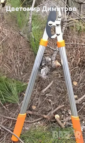 Ножица за клони