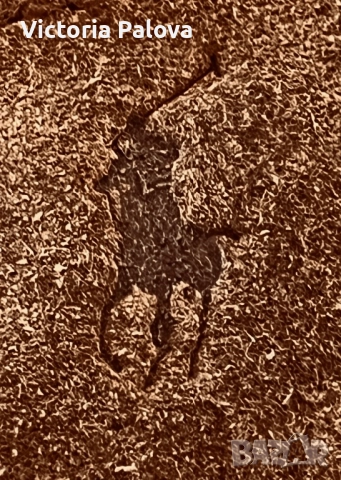 Мега удобни луксозни боти POLO RALPH LAUREN CHETT SUEDE CHUKKA BOOTS , снимка 4 - Детски боти и ботуши - 52265636