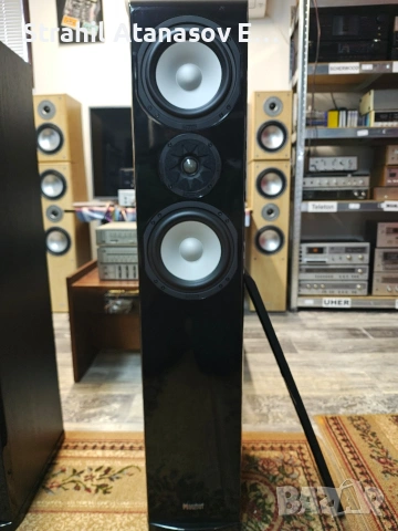 Magnat Quantum 605 Трилентови Тонколони , снимка 8 - Тонколони - 53446357