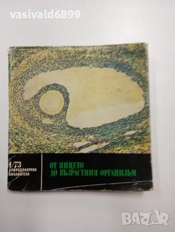 Моско Москов - От яйцето до възрастния организъм 