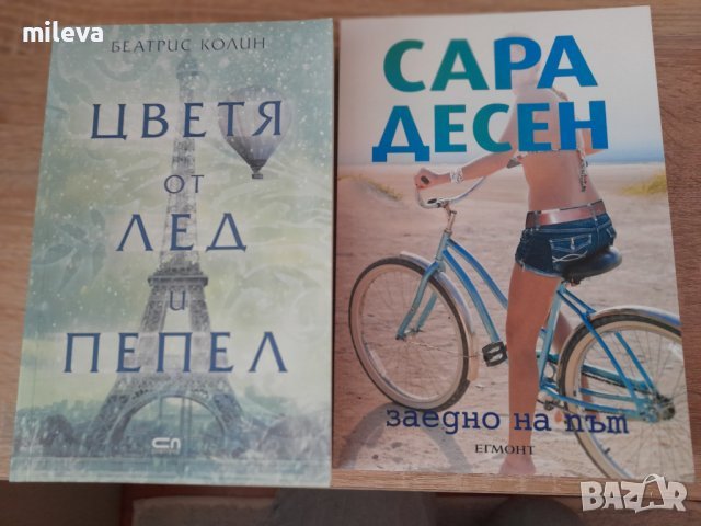 Две книги за 15лв, снимка 2 - Художествена литература - 41100035