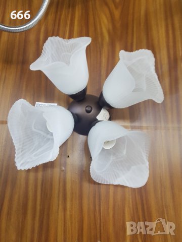 Полилей, снимка 2 - Полилеи - 41988263