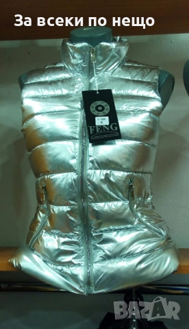 Дамски Сребрист Елек Код SV-56