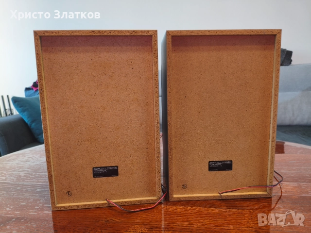 Тонколони Sony SS-RX6EAV, снимка 4 - Тонколони - 51570101