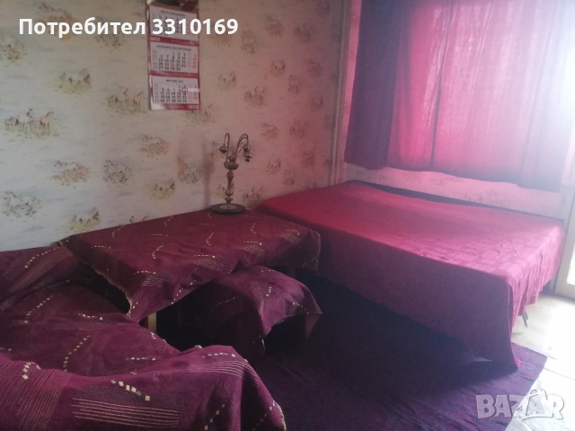 стая под наем 