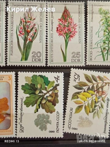 Стари пощенски марки от цял свят смесени ЦВЕТЯ без печат за КОЛЕКЦИЯ 52093, снимка 5 - Филателия - 53228596