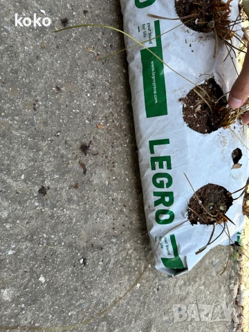 Чували за отглеждане на растения, снимка 5 - Оранжерии - 51148506