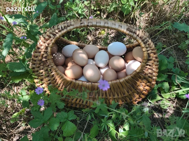 Домашни пресни Яйца , снимка 1