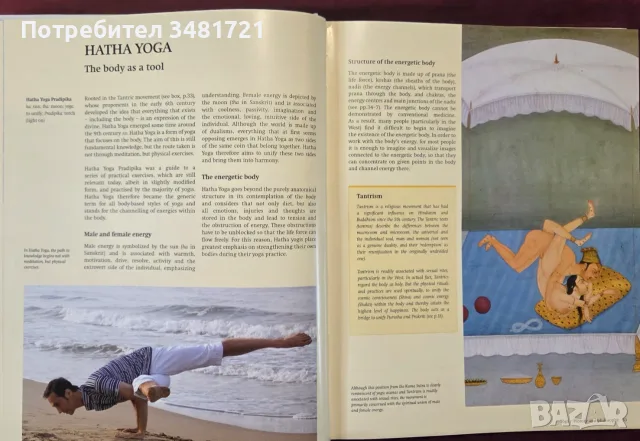 Справочник - Guide to Yoga, снимка 4 - Здраве, медицина и спорт - 55964345