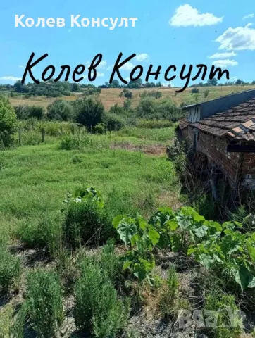 Продава животновъдна ферма в село Голямо Асеново, снимка 6 - Парцели - 49352738