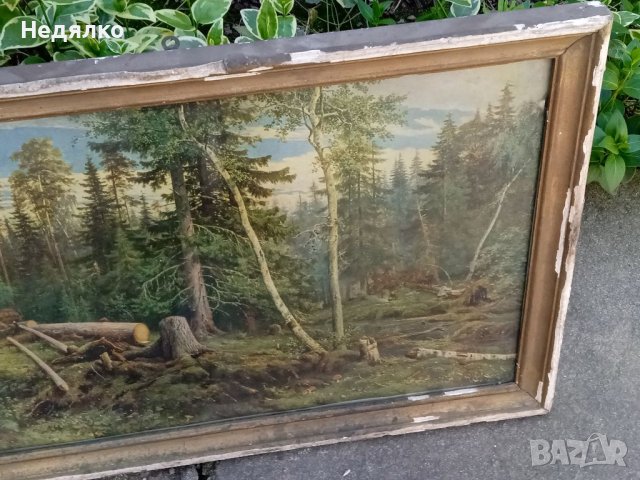 И.Шишкин,Рубка леса, картина, репродукция,1965г, снимка 4 - Антикварни и старинни предмети - 40356347