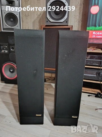 MAGNAT VIVA CLASSIC5, снимка 9 - Тонколони - 53066544