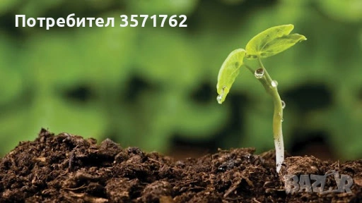 Нива 4 категория в с.Садовец, община Долни Дъбник