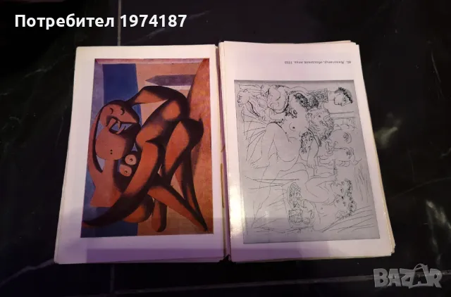 Пикасо - Кирил Кръстев, снимка 2 - Художествена литература - 48491644