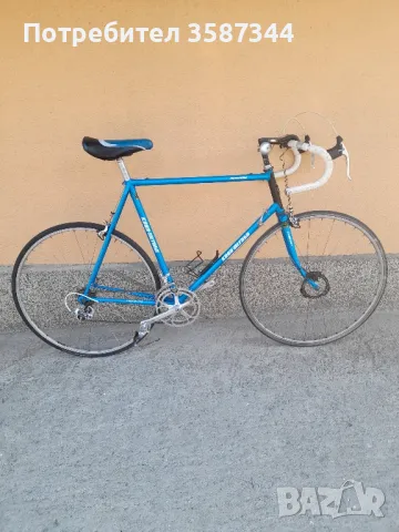 шосеен бегач