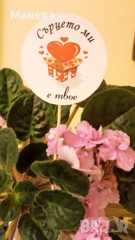 Послание на клечка , снимка 15 - Декорация за дома - 39305794