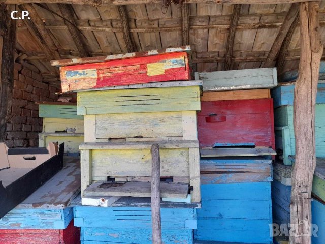 Пчелни кошери, ДБ-12 рамкови, в комплект с по 1 магазин, снимка 7 - За пчели - 42385144