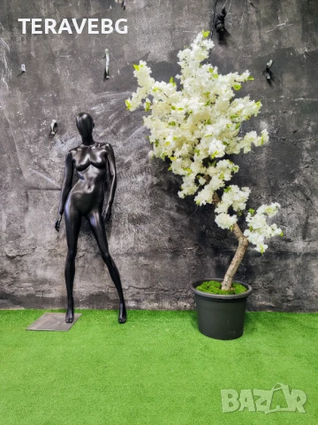 Декоративни дървета , снимка 11 - Изкуствени цветя - 50801494