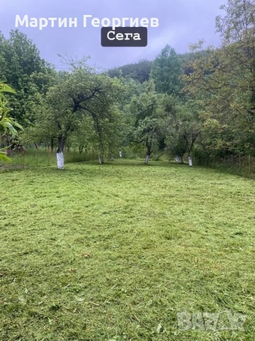 Почистване и косене на имоти , снимка 12 - Други почистващи услуги - 53816255