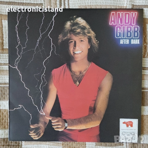 Отлично запaзени винилови плочи за грамофон с найлон и обложка, Балкантон, Electrecord..Разпродажба!, снимка 9 - Грамофонни плочи - 51386959