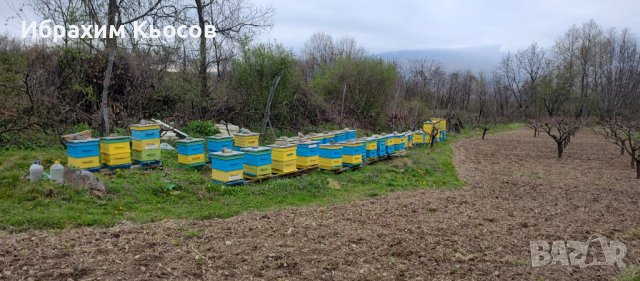 Пчелни кошери - Кошери - Pchelni kosheri - Kosheri , снимка 17 - За пчели - 40275469