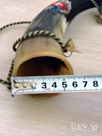 Изключително Рядък Рог, снимка 9 - Антикварни и старинни предмети - 50507070
