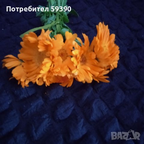 Мехлем от невен, индрише,алое, снимка 2 - Други - 41423035