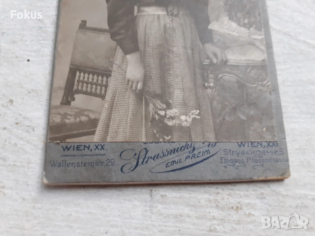 Стара снимка Австрия Виена - дебел картон фотография, снимка 4 - Антикварни и старинни предмети - 53306917