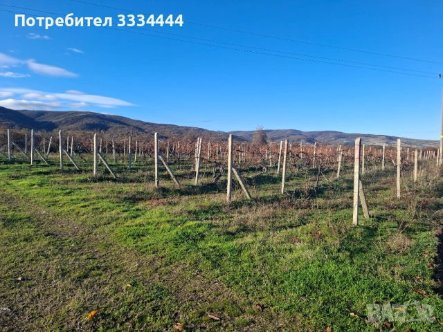Продавам имот тип лозе, местност "Комсала", с.Марково, гр. Пловдив, снимка 4 - Земеделска земя - 53608503