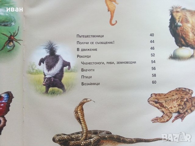 Детска енциклопедия "Животните" - издателство "Фют" - 2014г., снимка 4 - Енциклопедии, справочници - 42524517