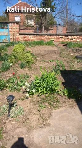 Продавам къща в с. Изгрев, снимка 10 - Къщи - 47714260