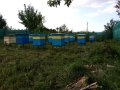 Домашен натурален пчелен мед букет от производител, снимка 6