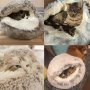 Ново зимно - топло плюшено Легло * Възглавница * Къща *Хралупа * За котка * куче * Размери * Цветове, снимка 15